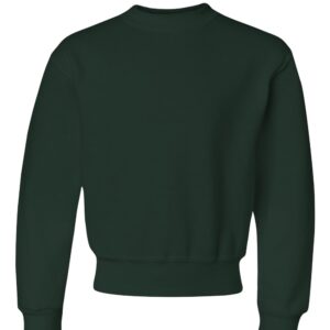 Sweatshirt- CREW -NO HOOD - No Logo-Long Sleeve -Unisex-YOUTH-6th grade middle school(can be worn in winter months)